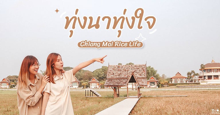Chiang Mai Rice Life