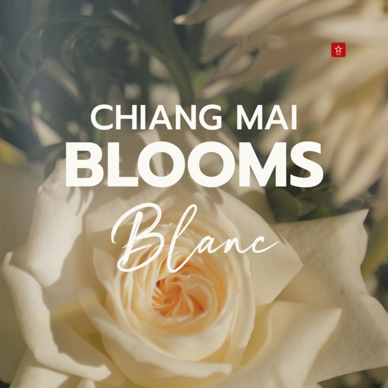 Chiang Mai Blooms