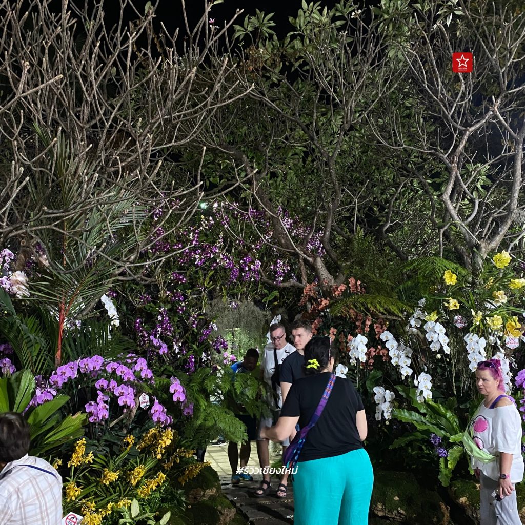 Chiang Mai Flower Festival 2024