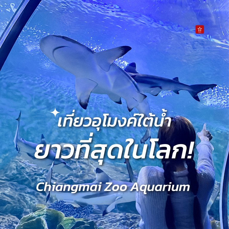Chiangmai Zoo Aquarium