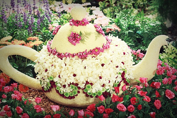  Chiangmai Flora Blossom