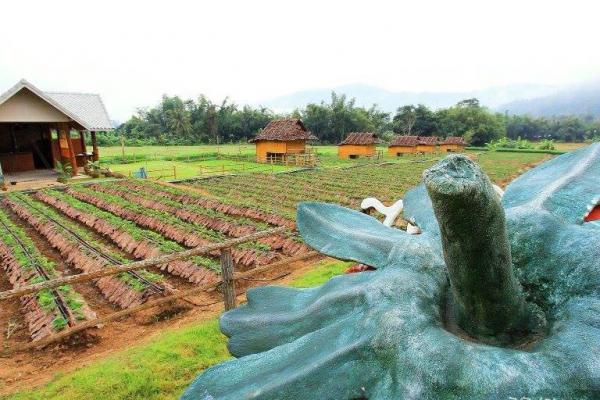 เที่ยวเชียงใหม่